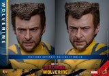 IN STOCK! HOT TOYS Deadpool & Wolverine MMS754 Wolverine (Deluxe Ver.) 1/6th Scale Collectible Figure