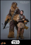 ( Pre Order ) Hot Toys Star Wars: Return of the Jedi MMS854 Leia Organa (Boushh Disguise) 1/6th Scale Collectible Figure