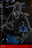 ( Pre Order ) Hot Toys Alien: Romulus MMS784 Scorched Xenomorph 1/6th Scale Collectible Figure