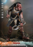 ( Pre Order ) HOT TOYS Predator: Badlands MMS850 Dek and Thia 1/6th Scale Collectible Figure