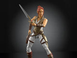 ( Pre Order ) Masters Of The Universe Chronicles Teela Action Figure
