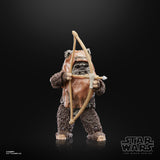 IN STOCK! Star Wars The Black Series 40th Anniversary Wicket 6 inch Action Figure