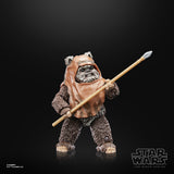 IN STOCK! Star Wars The Black Series 40th Anniversary Wicket 6 inch Action Figure